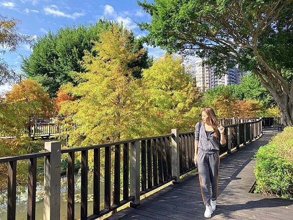 落羽松 台北市旅遊 北投旅遊 捷運奇岩站 奇岩一號公園 網美