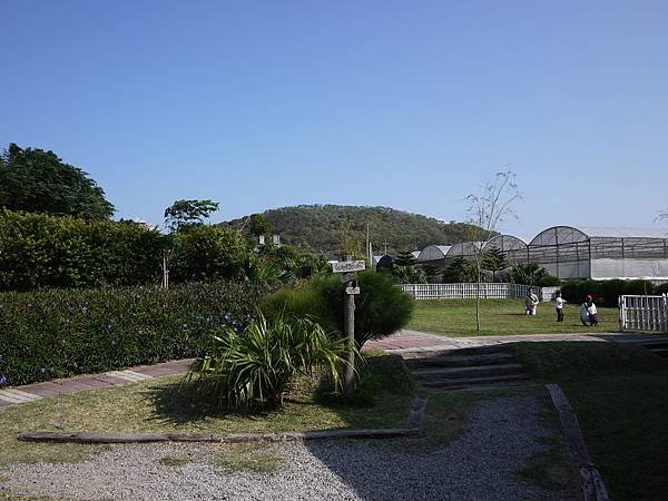 P1080029