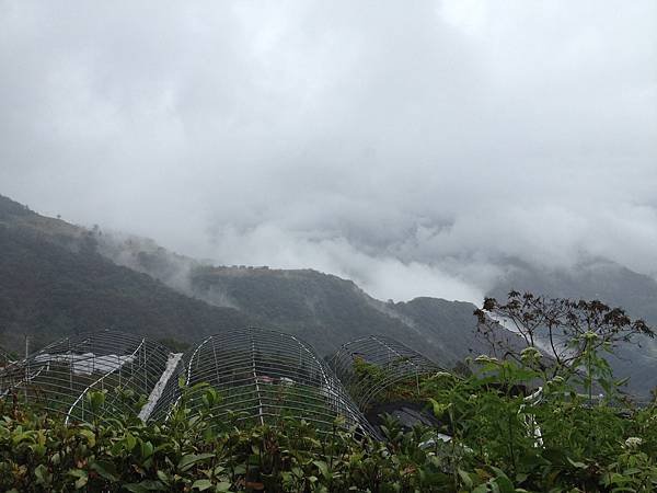 IMG_5239