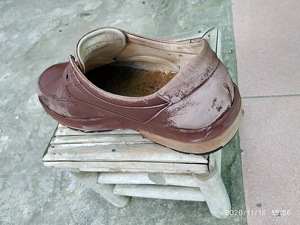 IMG_20201116_155627