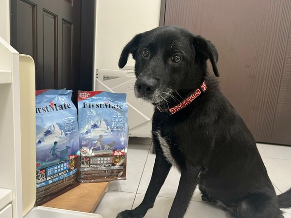 [寵物] FirstMate第一饗宴評價 WDJ推薦加拿大飼