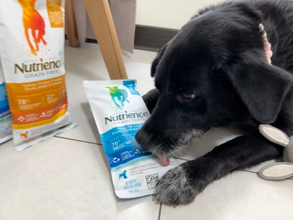 [寵物] Nutrience紐崔斯無穀養生飼料評價 八犬寵物