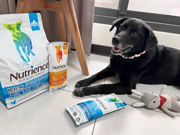 [寵物] Nutrience紐崔斯無穀養生飼料評價 八犬寵物