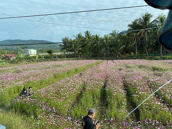 高雄客運 美濃花季- 甲仙那瑪夏交通