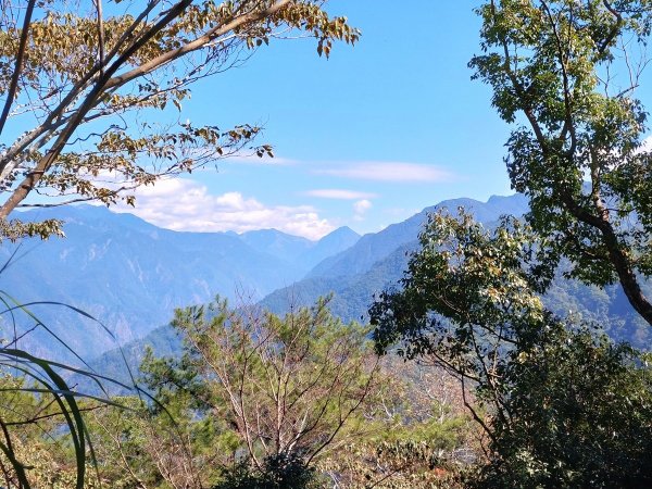 狗狗登山〉台中和平．谷關七雄．唐麻丹山