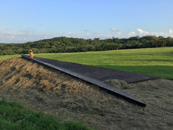 狗狗健行〉新竹香山．青青草原．森林步道．DIY 路線地圖（更