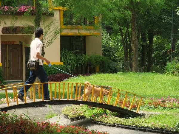 狗狗出遊〉南投埔里．台一生態休閒農場