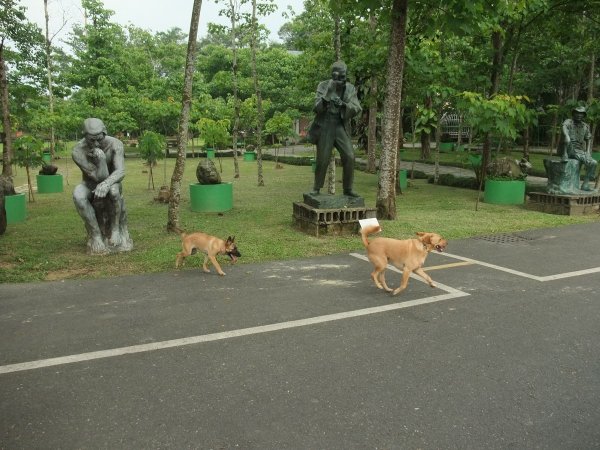 狗狗出遊〉南投埔里．玫開四度食用玫瑰園．田心心蔬食餐坊．牛耳