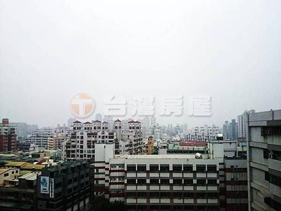 38_conew1