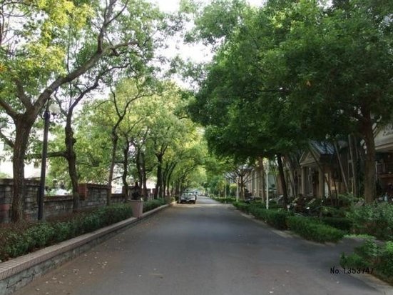 58_conew2