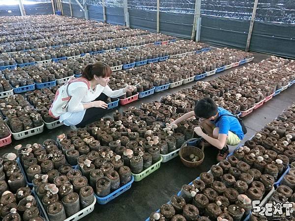 食記百菇莊15.jpg