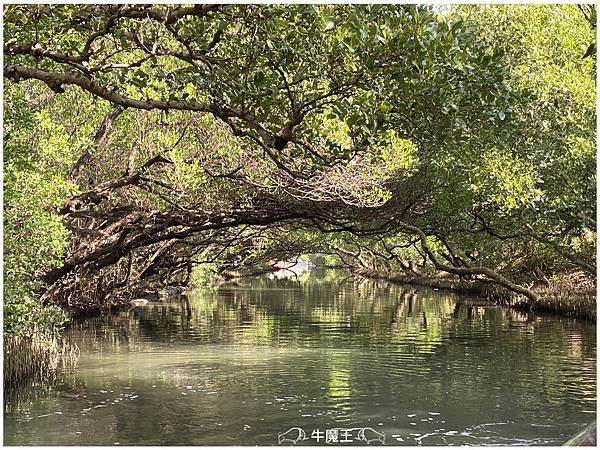 四草綠色隧道