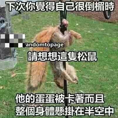 TJGCXVT