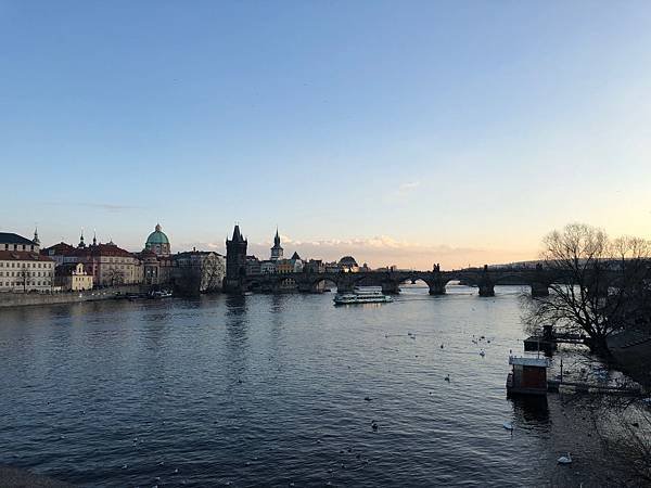 IMG_5575