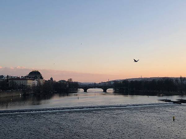 IMG_5602