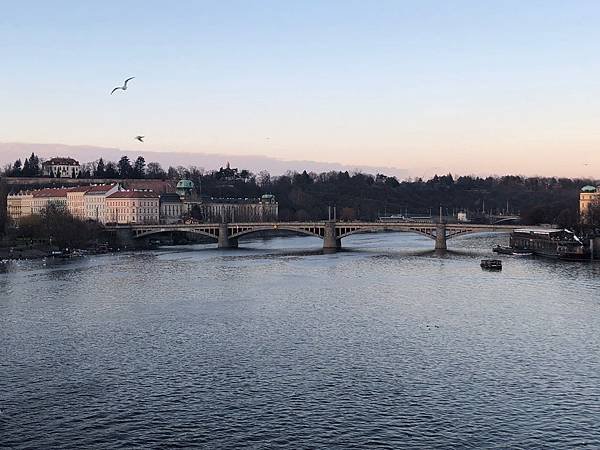 IMG_5603
