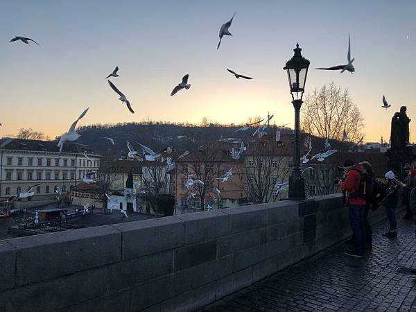 IMG_5616