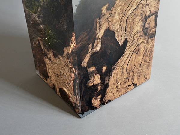 alcarol_Stump-Stool-Chestnut-2
