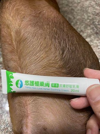 [產品分享] 寵物友善皮膚藥膏~貓狗友善~植樂膚草本皮膚舒敏