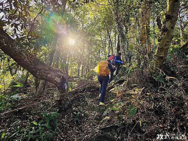 【南投/仁愛】惠蓀林場一日遊｜一次征服〈小出山、松風山〉