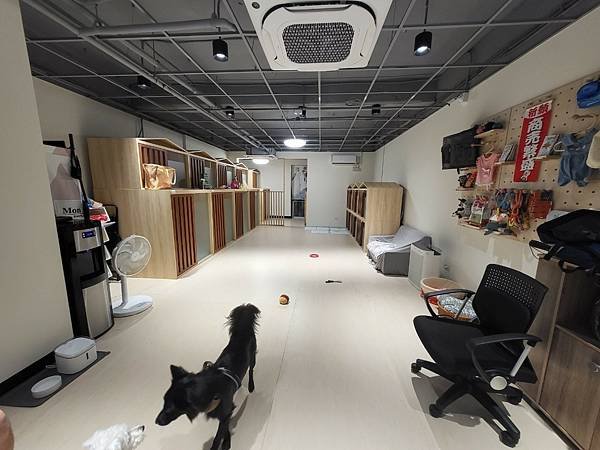 LINE_ALBUM_逗格寵物旅館_230605_61