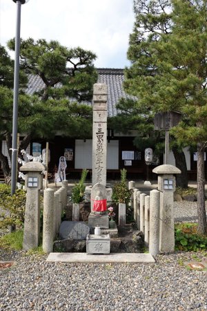 DSC01699-1.jpg