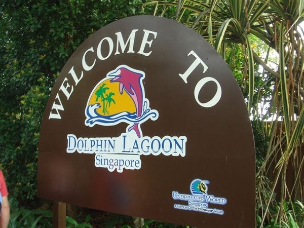 WELCOME TO Dophin Lagoon!!