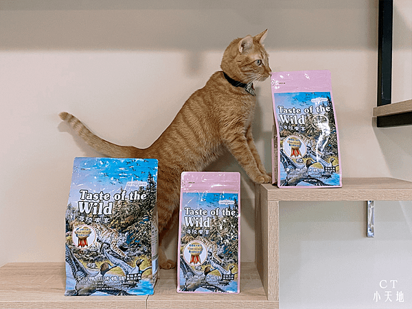 海陸饗宴TasteoftheWild/飼料推薦/無穀飼料/WDJ推薦飼料/貓飼料/低敏貓飼料/挑嘴貓飼料/貓飼料ptt