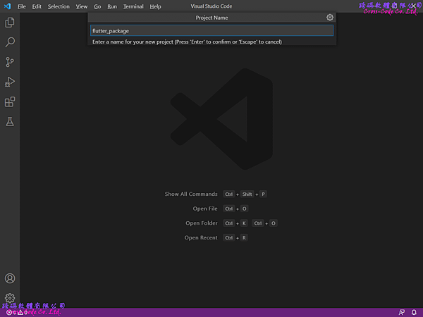 flutter_set_package