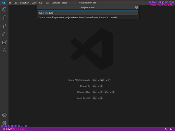 flutter_set_module