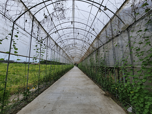 【嘉義中埔景點】中埔穀倉農創園區～由舊穀倉改建而成的免費親子