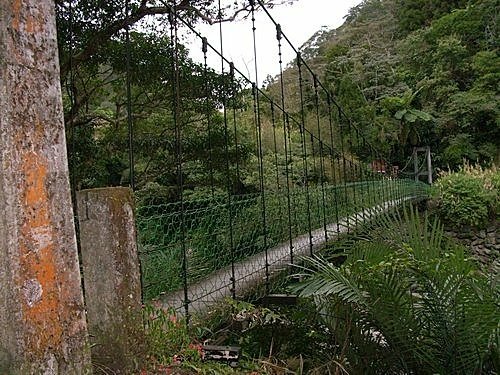 980301茶墾山(6).jpg
