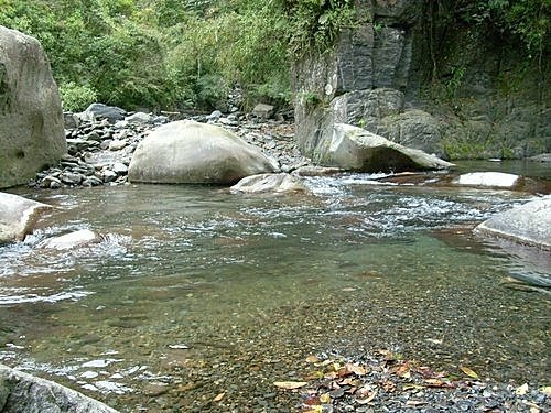 980301茶墾山(2).jpg