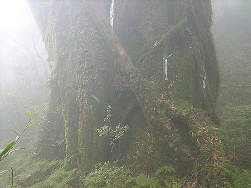980328模故山(11).jpg