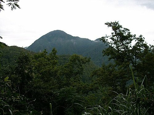 980705司馬庫斯西丘斯山雪白山(29).jpg