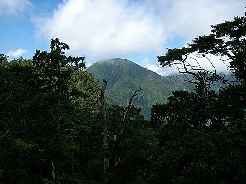 980711唐穗山(16).jpg