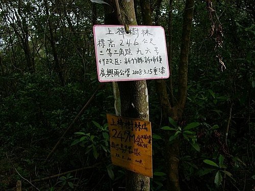 980725光城山上樟樹林山石頭坑山犁頭山(2).jpg