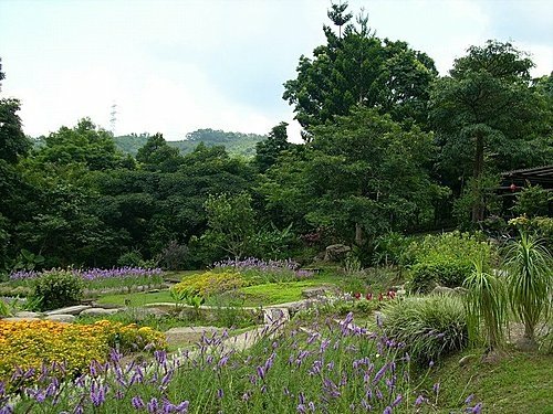 980725光城山上樟樹林山石頭坑山犁頭山(4).jpg