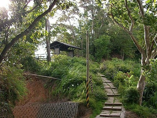 980725光城山上樟樹林山石頭坑山犁頭山(5).jpg