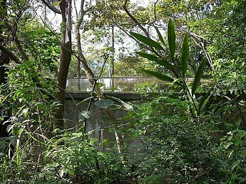 980725光城山上樟樹林山石頭坑山犁頭山(12).jpg