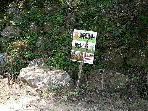 980725光城山上樟樹林山石頭坑山犁頭山(13).jpg