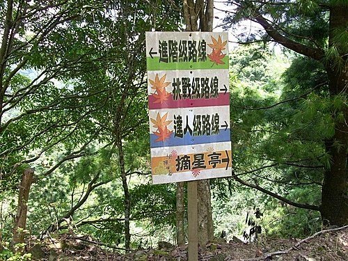 980725光城山上樟樹林山石頭坑山犁頭山(14).jpg