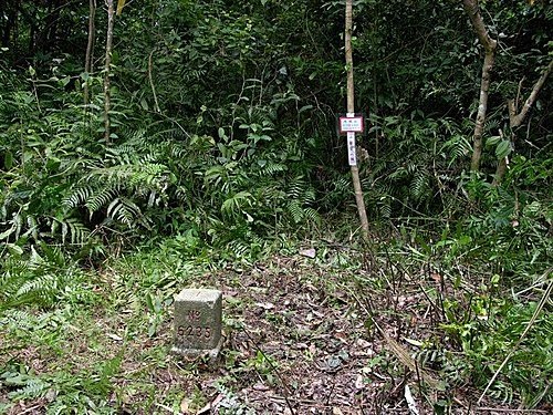 980725光城山上樟樹林山石頭坑山犁頭山(22).jpg
