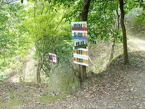 980725光城山上樟樹林山石頭坑山犁頭山(26).jpg
