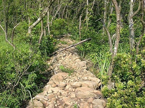 980725光城山上樟樹林山石頭坑山犁頭山(25).jpg