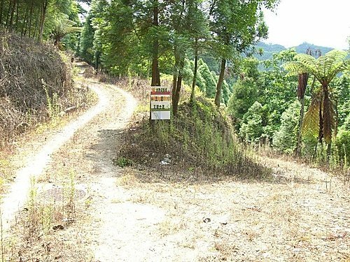 980725光城山上樟樹林山石頭坑山犁頭山(27).jpg