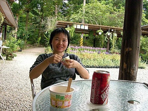 980725光城山上樟樹林山石頭坑山犁頭山(29).jpg