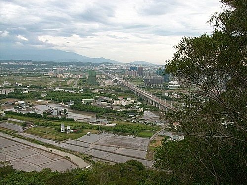 980725光城山上樟樹林山石頭坑山犁頭山(31).jpg