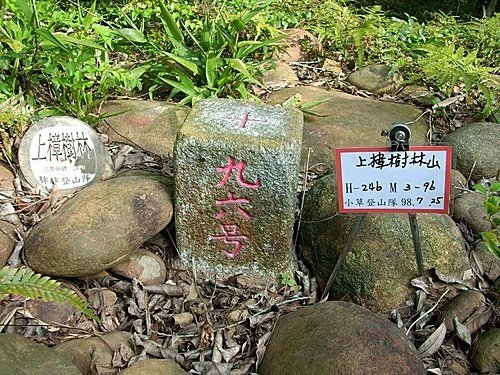 980725光城山上樟樹林山石頭坑山犁頭山.jpg