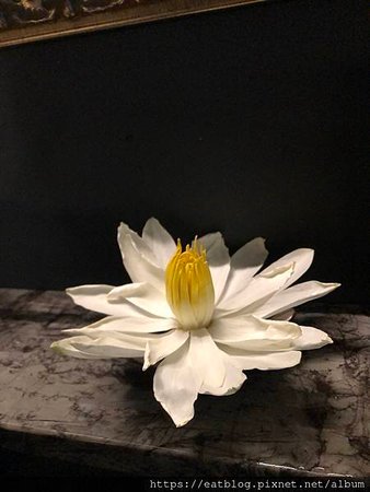 IMG_1694